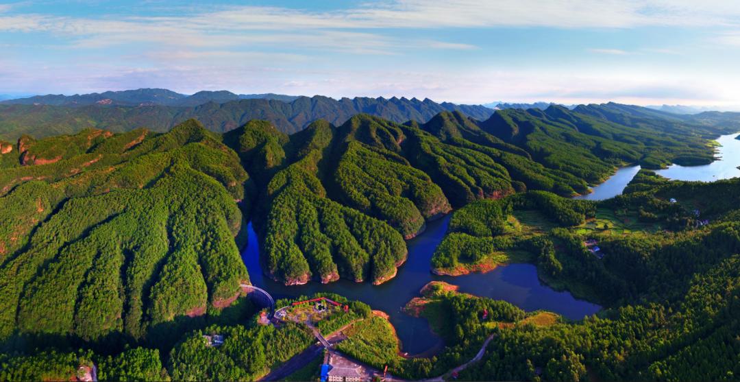 剑阁杯古树名木摄影大赛,保亭摄影比赛获奖作品