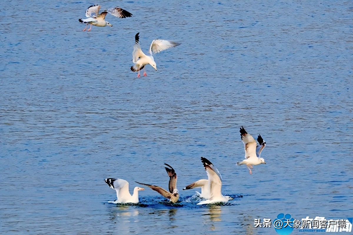河南省黄河迎宾馆雪景,洛阳春来花似锦