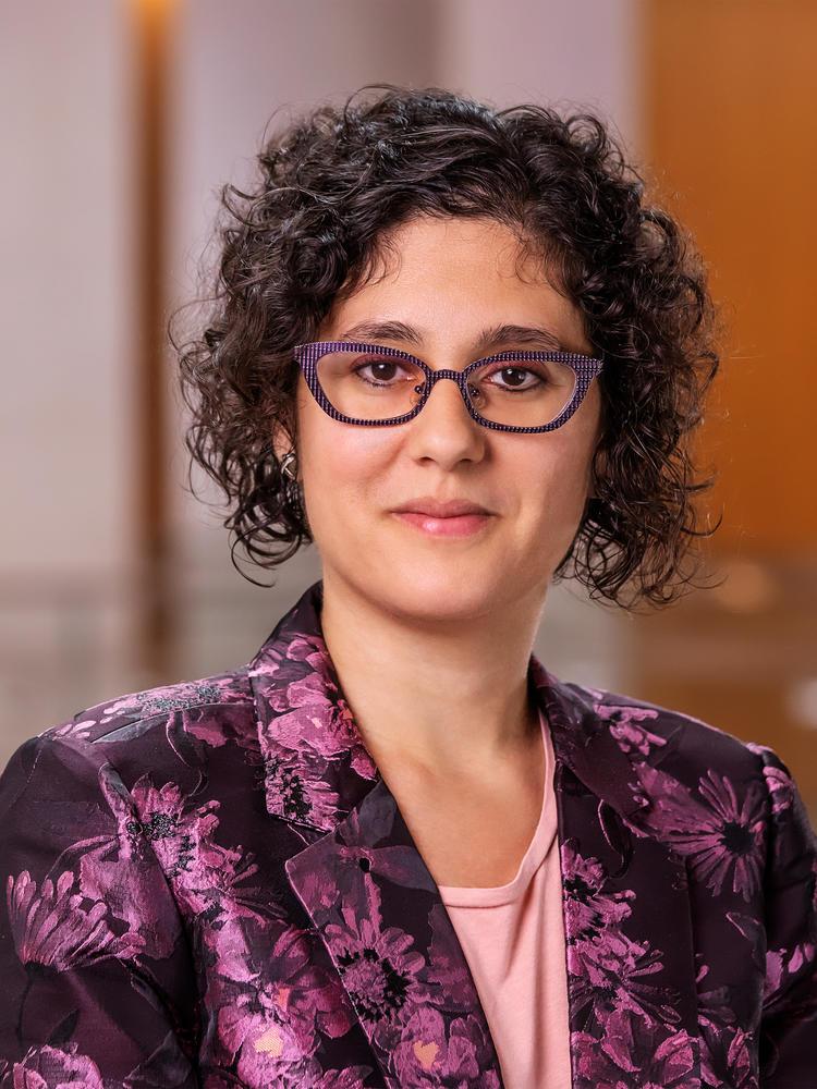 揭秘中国与美国教育战场中的秘密*器武**！