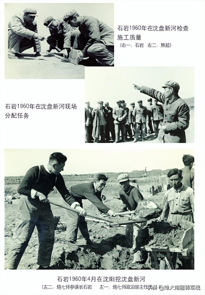 辽宁野生淡干海参,野生辽宁干海参