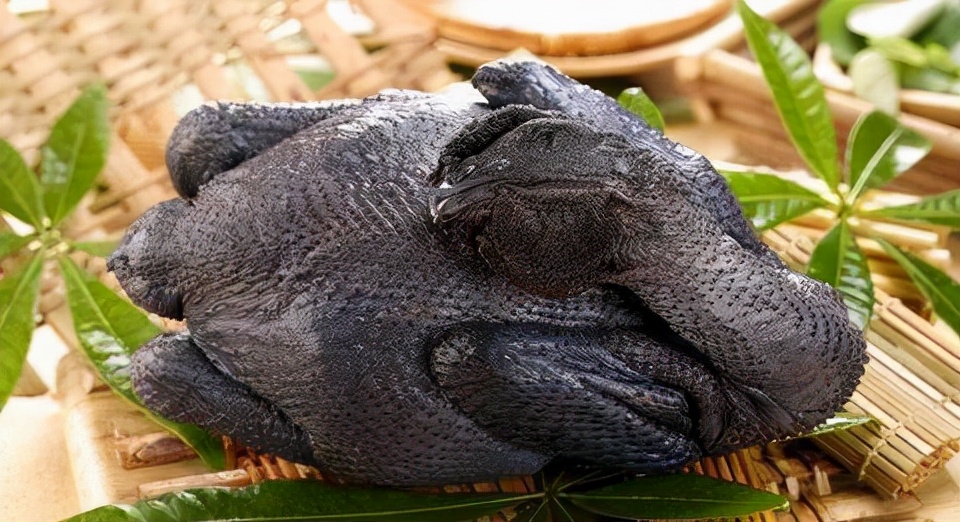 鸡肉含激素对人身体有什么危害,鸡肉里的激素有害吗