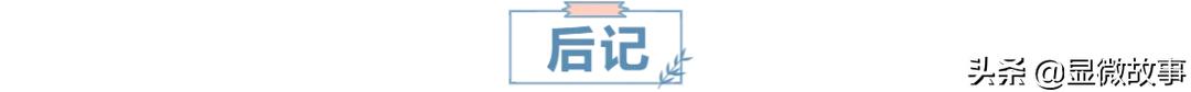放弃年薪百万的工作去当农民,30岁了我放弃了国企的工作