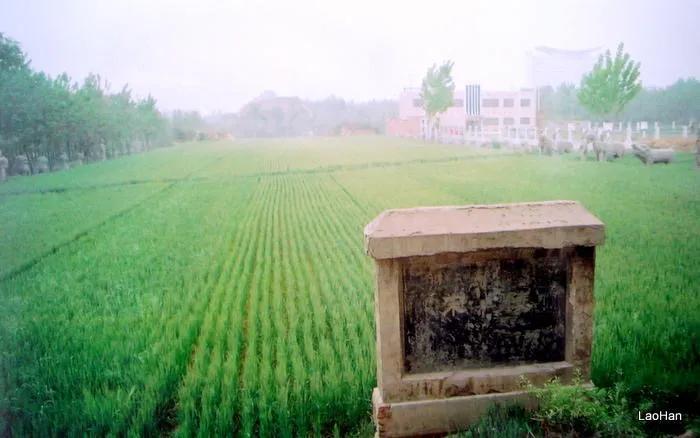 跟着走遍中国去旅游,跟着老唐环游中国