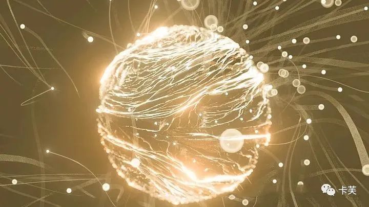 地龙多肽多效美肤霜，赋予你应有的健康、美丽与自信