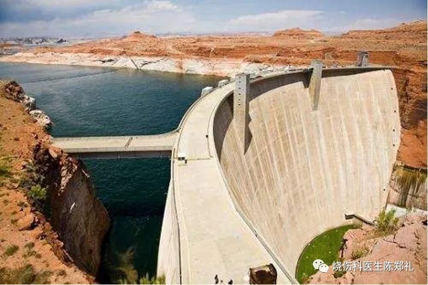 慢性创面患者的敷料运用及选择,创面换药敷料的选择