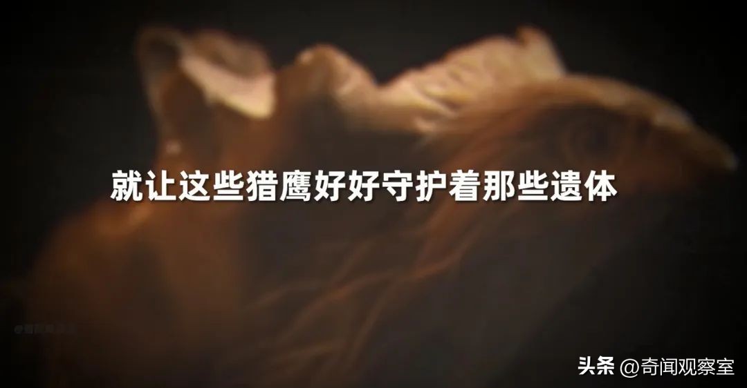 *底卧**与杀手的惊险对碰，热播美剧《BlackBird》背后的真实故事