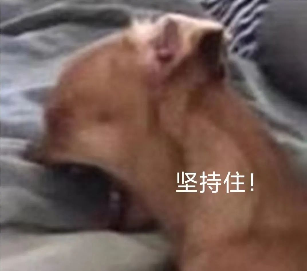 2024年体育中考满分标准,2023年陕西省中考体育满分标准