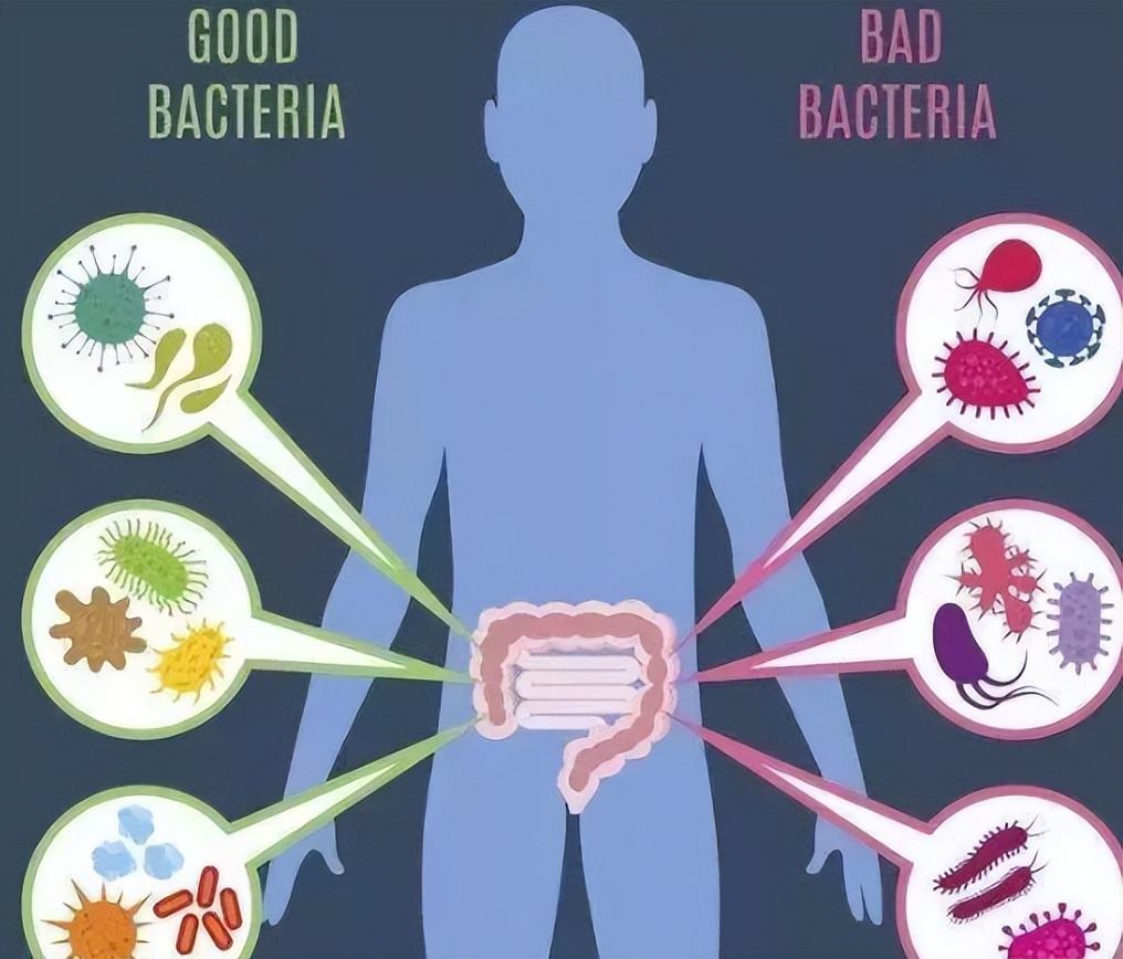 人体抵御细菌感染的第一道防线,人体卫士大战细菌