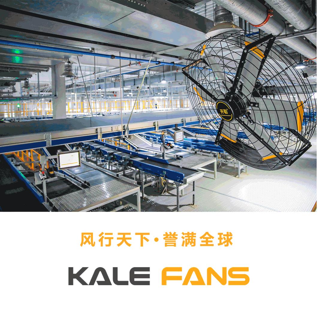 风扇只有一个风速是怎么回事,电风扇最大档风力不大是什么原因