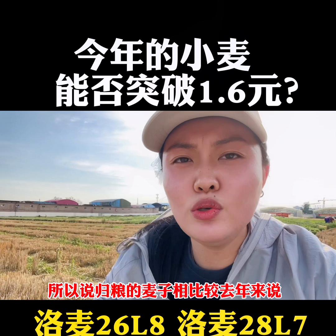 2019黄淮玉米高产品种,高产小麦玉米品种前十名