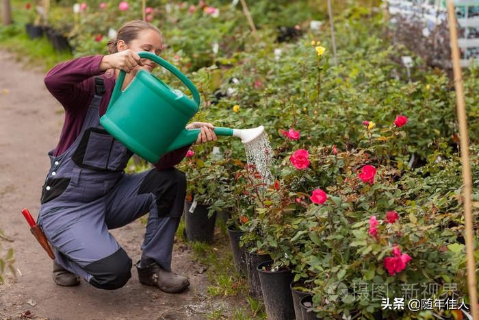 你知道淘米水有哪些好处,淘米水用处竟然这么多