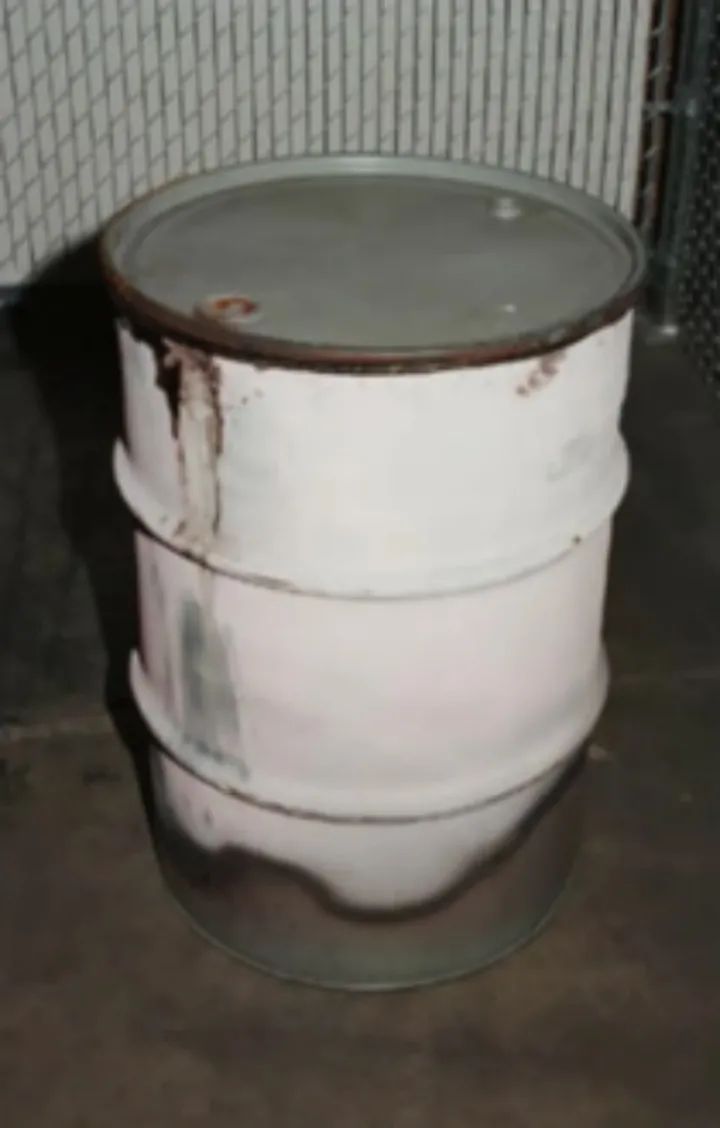 加拿大青年网恋美艳女郎神秘失踪,竟落入恐怖片导演的圈套