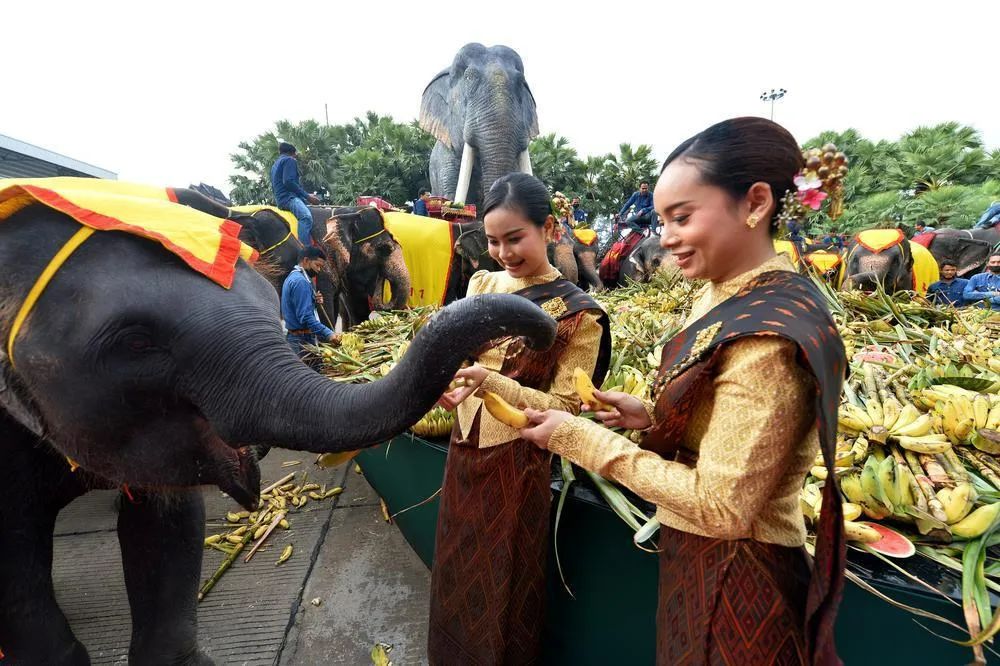 学生放假通知2024寒假多少天,五一放假通知来了连休5天凉山