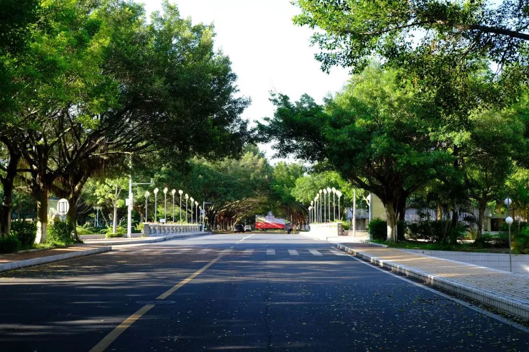 骞垮窞鍩庡缓鑱屼笟瀛﹂櫌鍙傝,骞垮窞鍩庡缓鑱屼笟瀛﹂櫌淇℃伅宸ョ▼