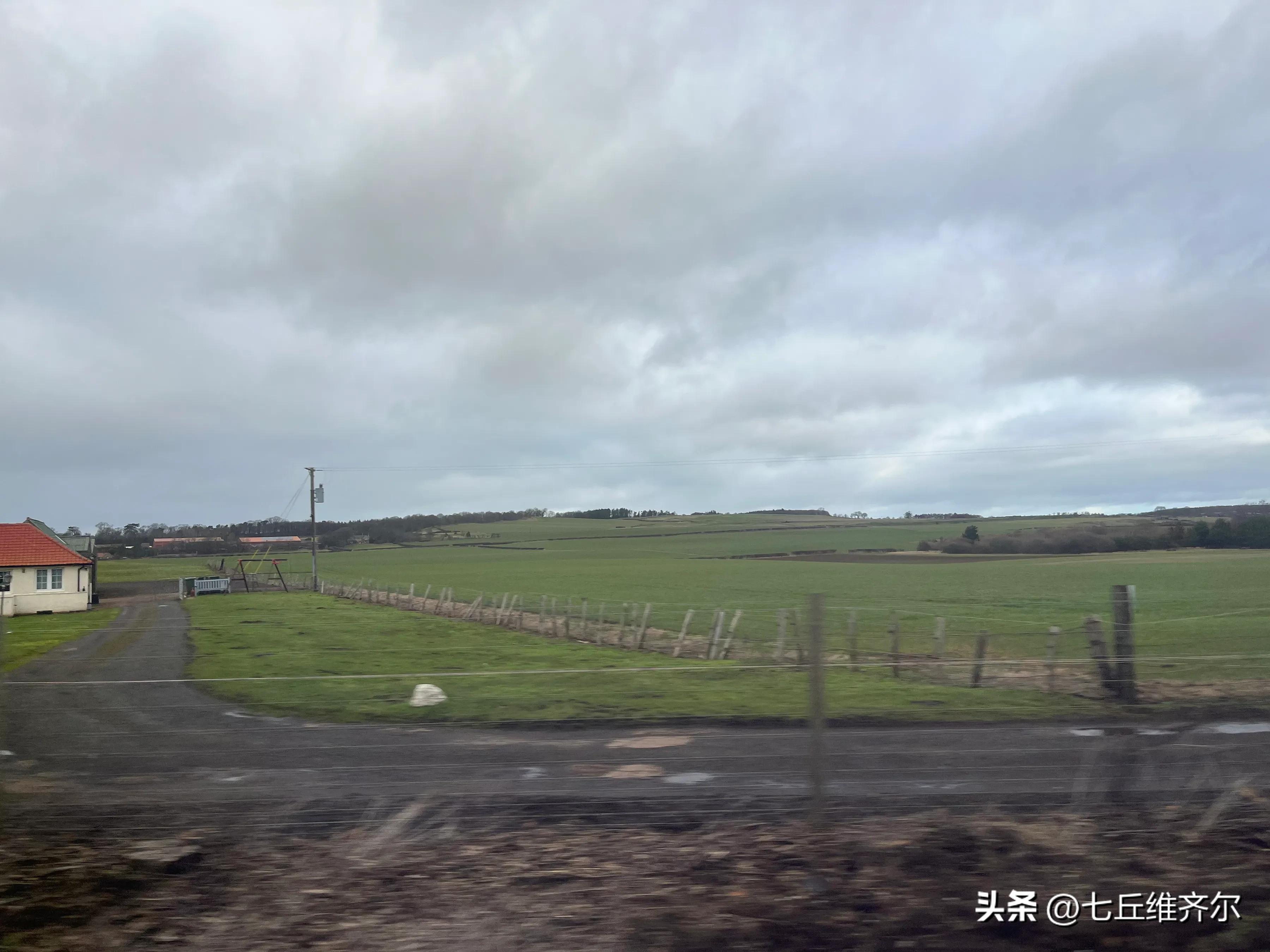 牛羊满圈的上联下联,水肥草美牛羊壮上联