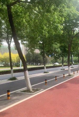 不锈钢盲道危害,不锈钢盲道怎样铺设