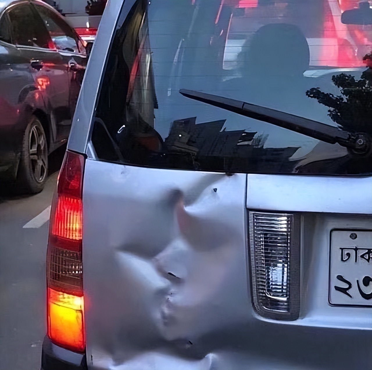 如何治懒病,治懒病的最佳方法