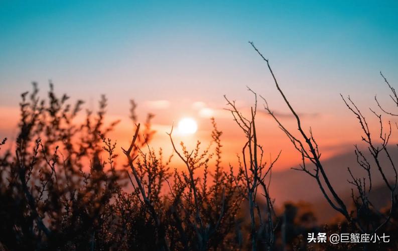 从来不愁钱的星座男生性格,无比精明深藏不露的星座男