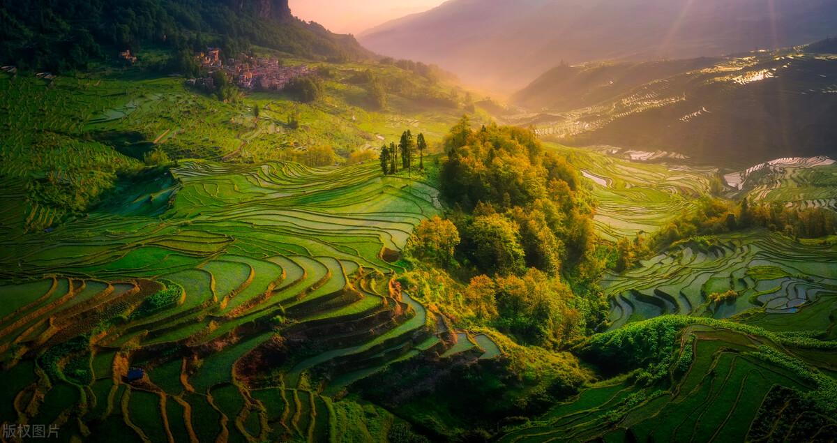 拿捏一物降一物,一物降一物得到未必是享受