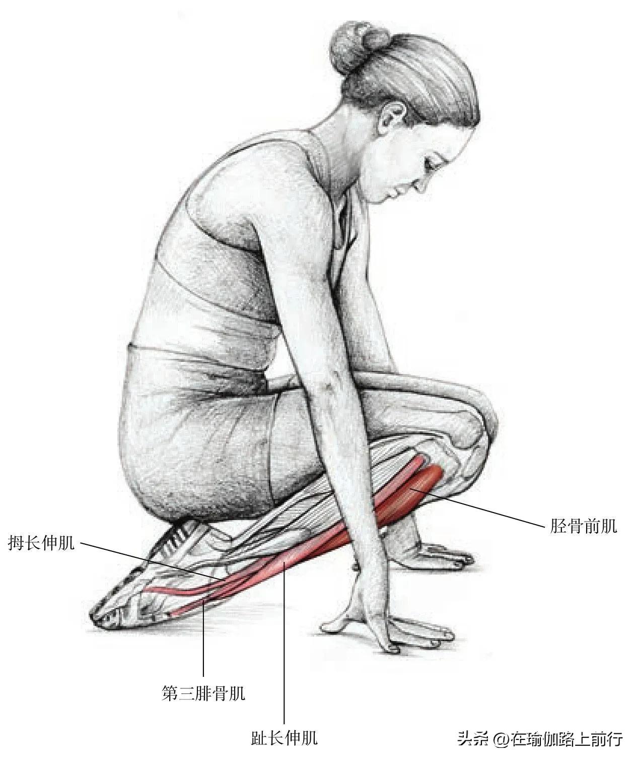 拉伸髂胫束,胫束拉伸的正确步骤