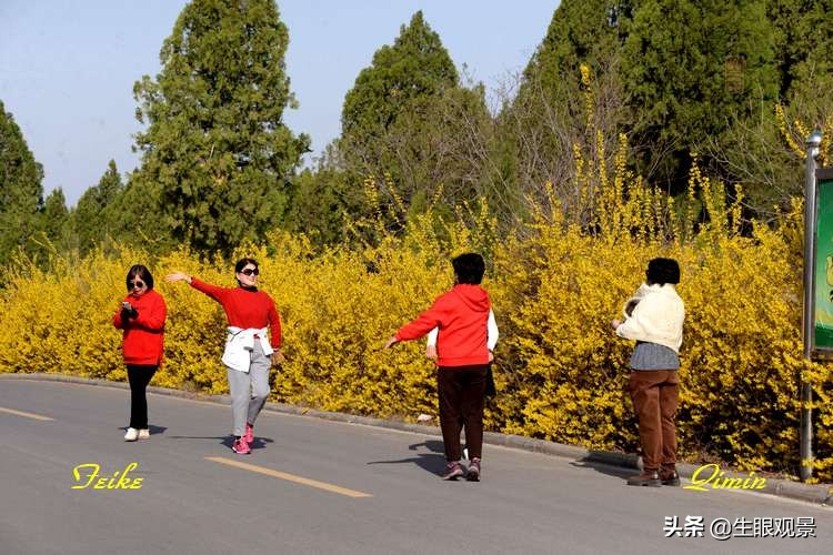 北京近郊春景,济南近郊春景