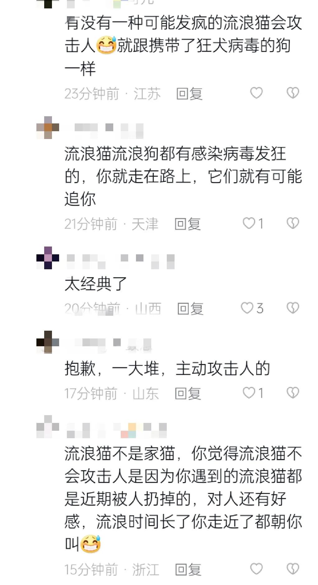 深圳弓箭射流浪猫警方介入,深圳男子用弓弩射杀流浪猫后续