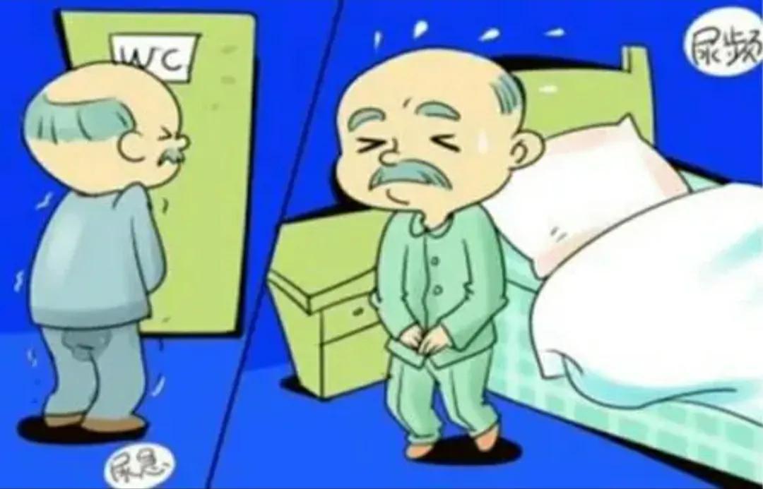 肾阳虚，尿频？5味中药，补肾阳，暖肾元，固精缩尿