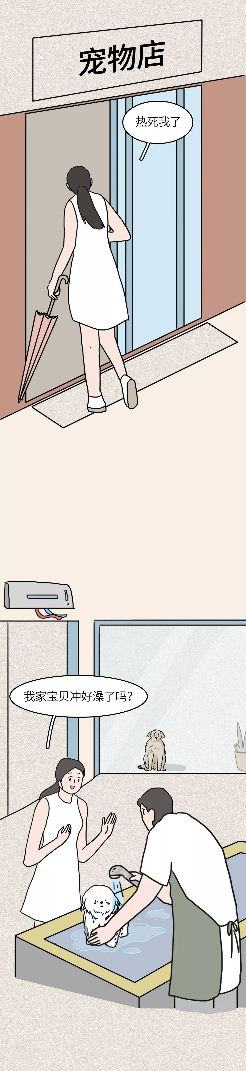 救救我36关怎么过,一只流浪狗自述