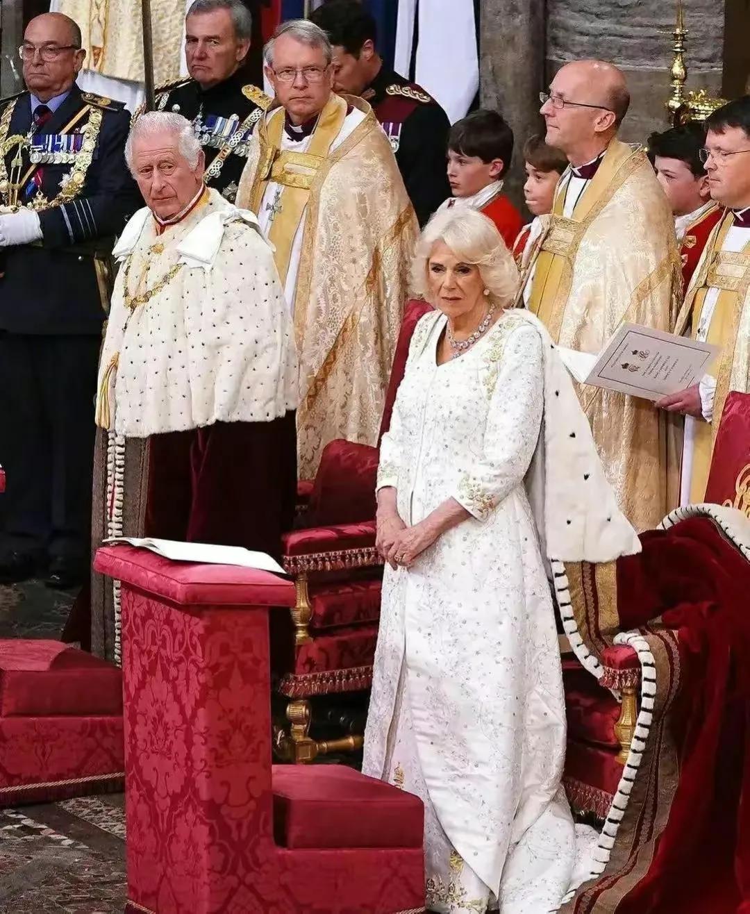 漫画讽刺查尔斯,英国讽刺漫画查尔斯解读