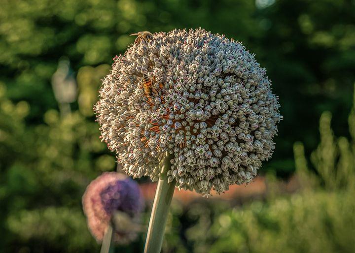 期货交易如何止盈止损操作流程,期货交易怎么止盈和止损最佳