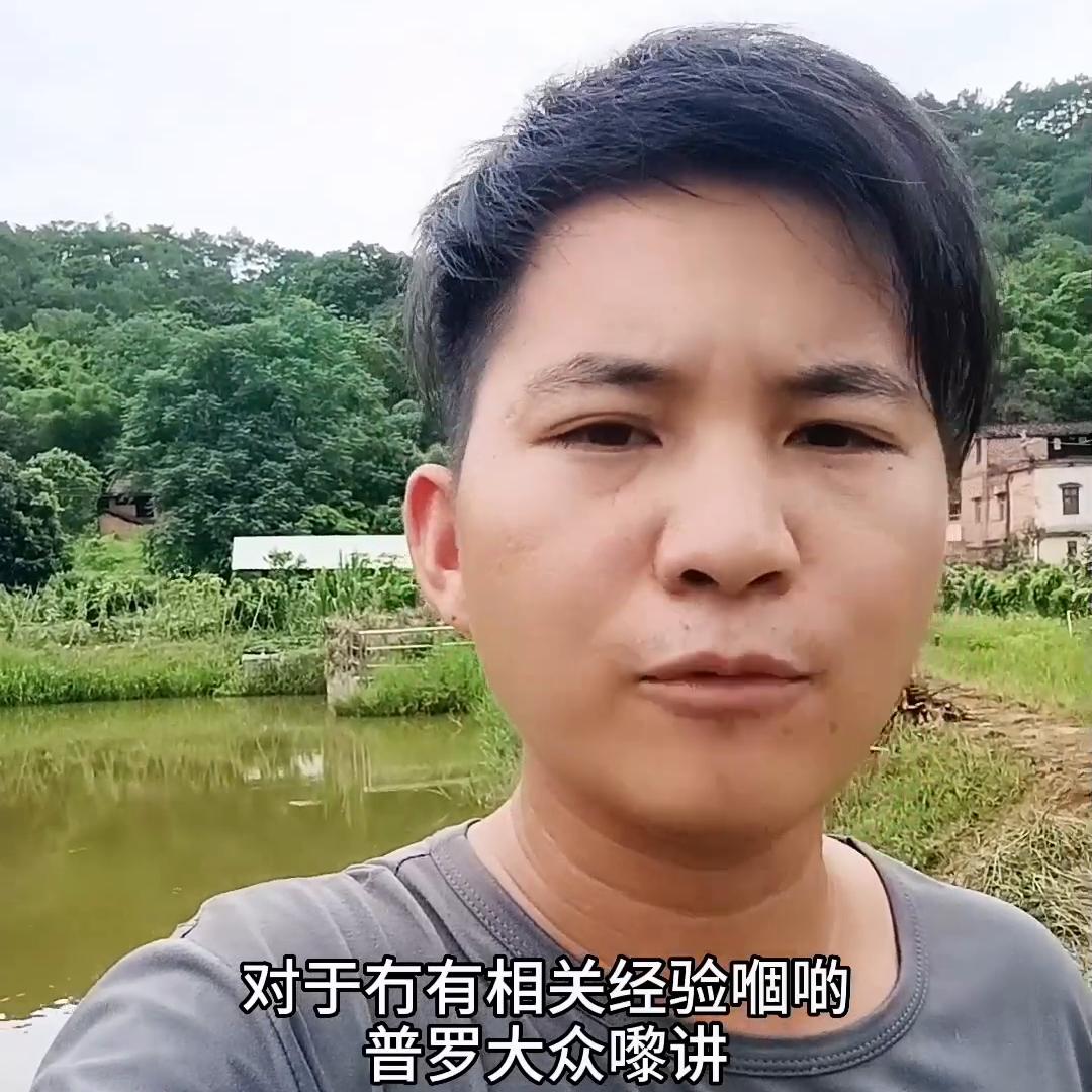 认为自己有能力回乡创业的,评论区聊聊#甲鱼