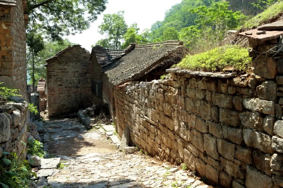 韩大胆原名,韩大胆是什么地方的