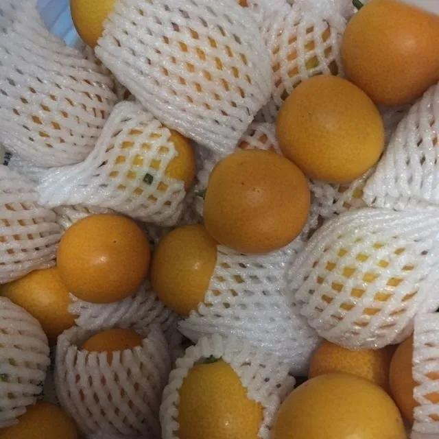 中国各省十大水果排行榜,中国六大水果产区地图