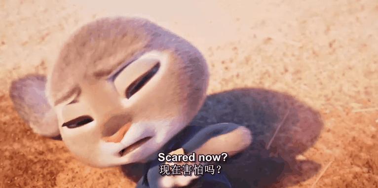 兔子没有实力就被人瞧不起,兔子从来没被战胜过