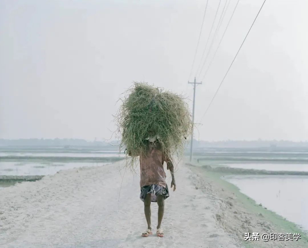 中国100张经典摄影作品,100幅顶级摄影师精心作品