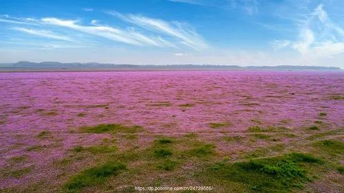 苦难的过去，救我们生命的鄱阳湖