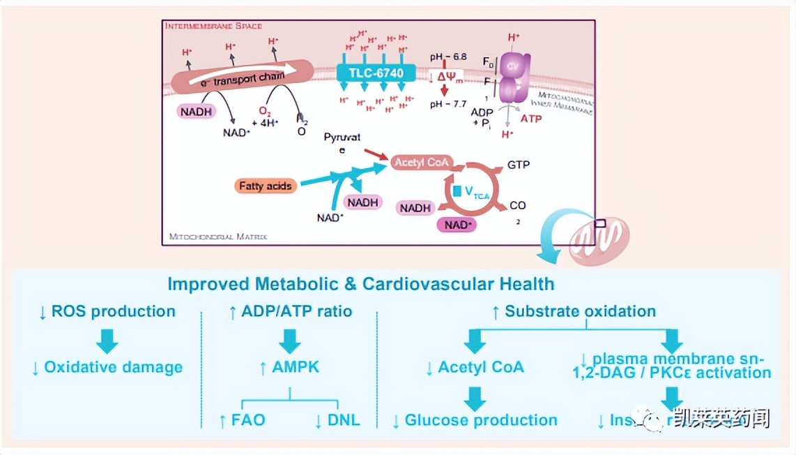 一天内收购一家上市公司,一天内收购一家上市企业