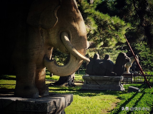 沈阳森林动物园缆车,自驾沈阳森林动物园