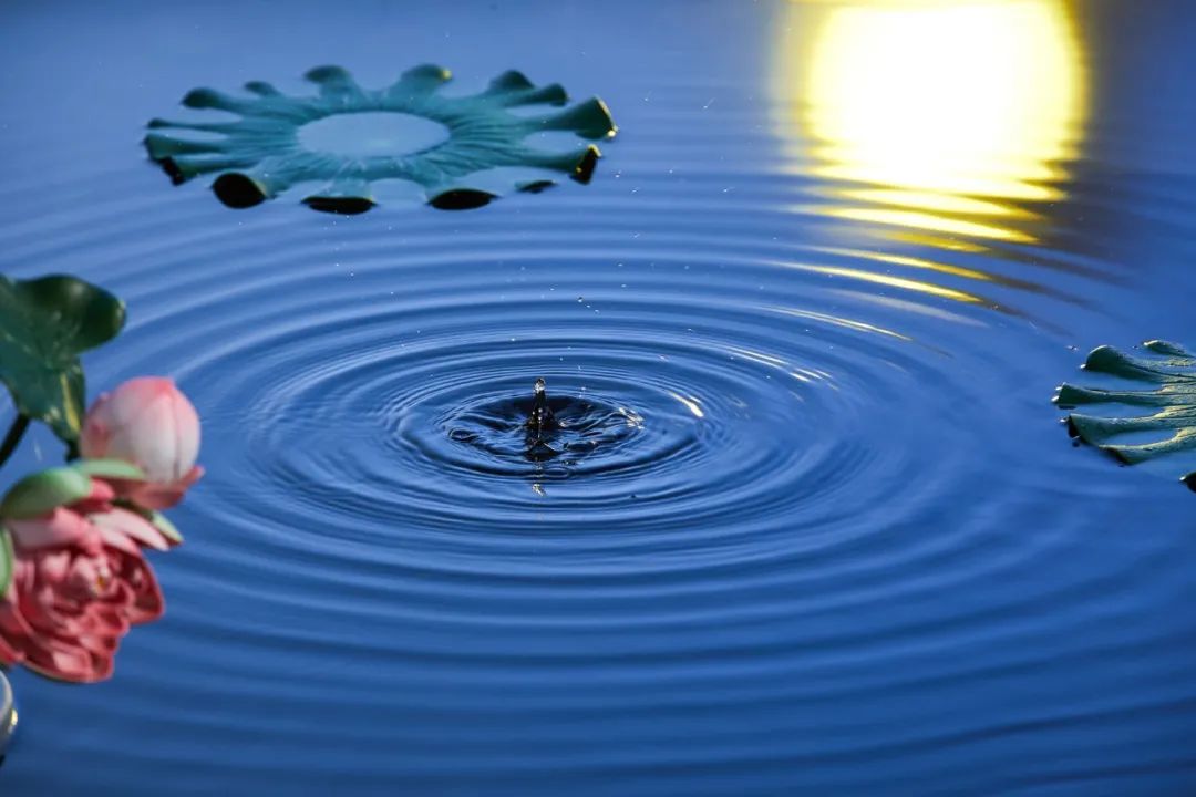 论语和红楼梦中家庭教育的智慧,论语中的十大智慧精髓受益终生