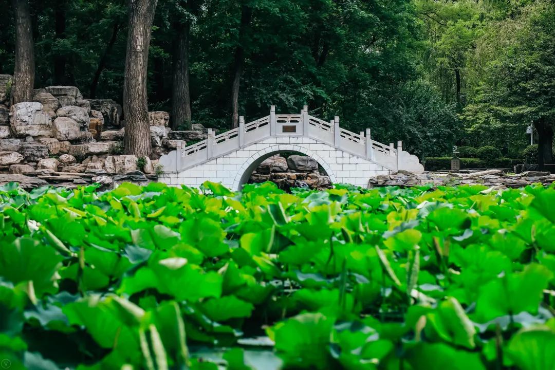 北京航空航天大学各专业招生人数,北京航空航天大学2023报考人数