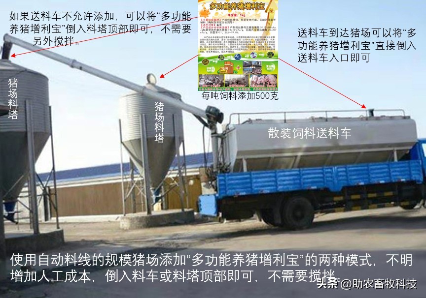 如何提高育肥羊经济效益,育肥猪养殖项目目的是什么