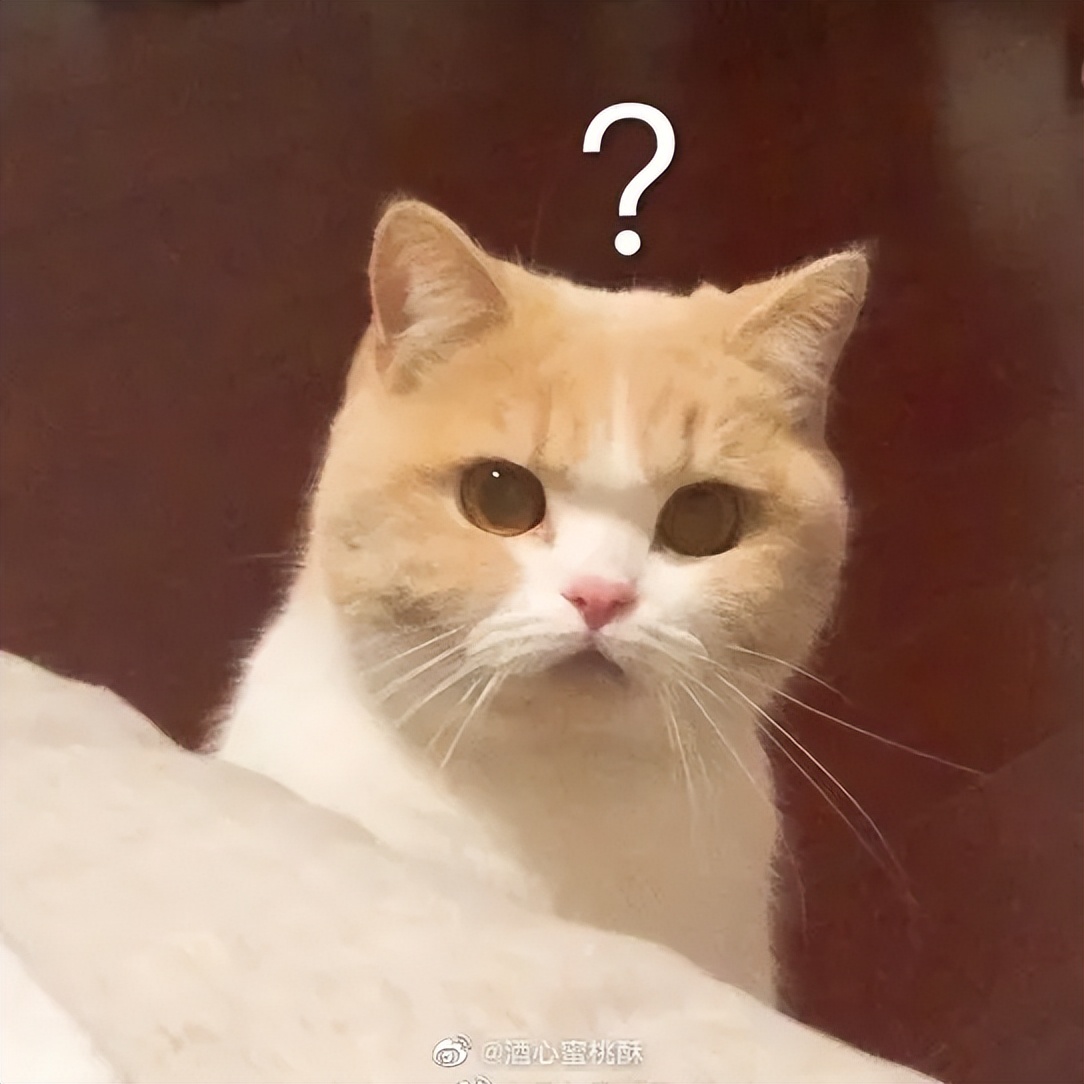 在中国程序员能不能干一辈子,在中国程序员这行能干一辈子吗