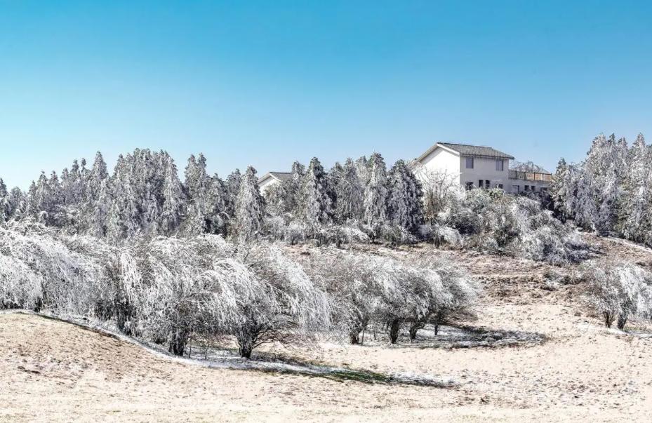 武隆仙女山在重庆哪个区,重庆去仙女山跟团游价格