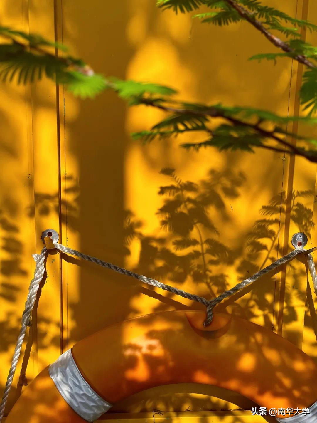 南华大学校花全集,校花南华大学