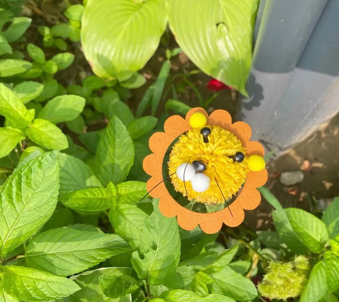 月子第二周食谱明细表,剖腹产第二周月子食谱