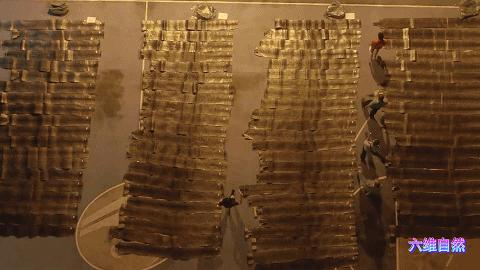 抓捕过最长的蟒蛇,最长蟒蛇视频真实