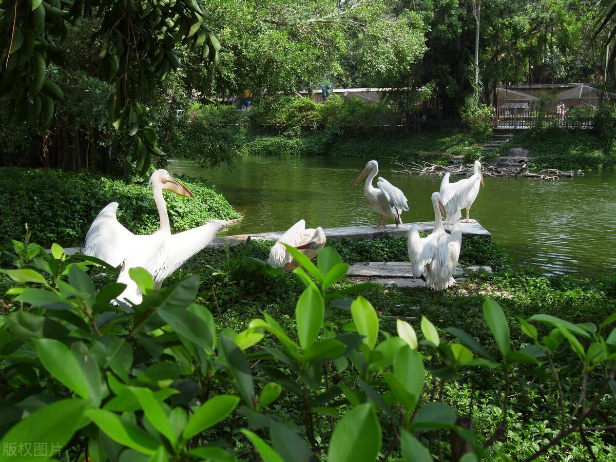 深圳必去十大网红景点,深圳最值得去的十大景点