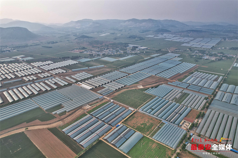 平畴乡村振兴,乡村振兴平邑农业