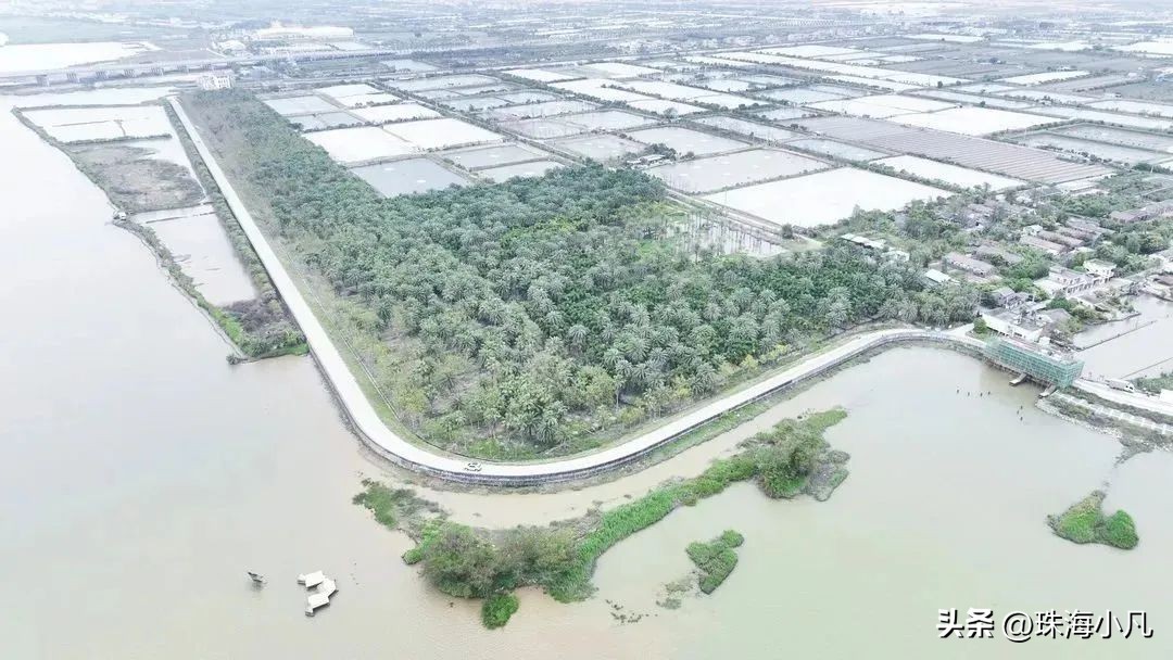 尖峰大桥是否会扩建,尖峰大桥什么时候建成