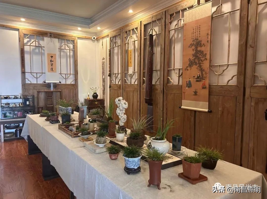 鍏竴鍎跨鑺傚叞鑺辫崏,鍏竴鍎跨鑺傜尓绗艰崏